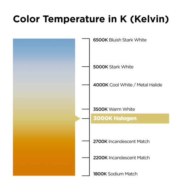 LED A19 Bulb 12W/ 1100LM/ 120V/ 3000K