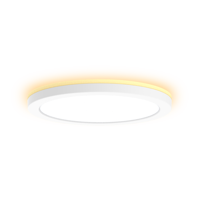 Round Surface Mount LED Light with Back Light and 5CCT Selector